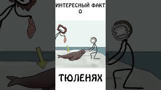 Интересный факт о Тюленях #иф #авызналиэто #шортс #сэмонелла #тюлень