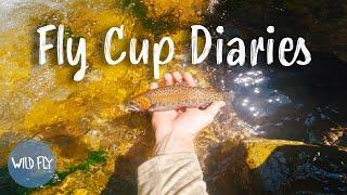 FLY CUP DIARIES Solo Bike-to-Fish Mission from Home