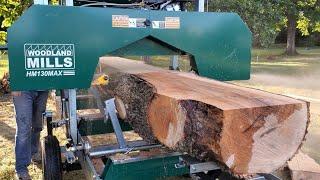 Milling Slabs from a 20 Ash Log