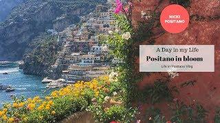 Life in Positano Vlog - Flowers in bloom and Francos Bar