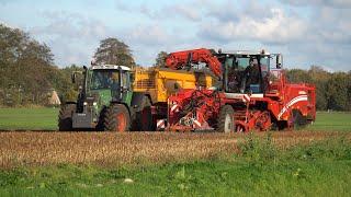 Lelies rooien met Grimme Varitron 200 en 2 Fendt trekkers - loonbedrijf Wardenier 2022