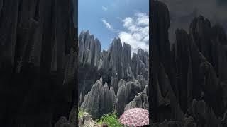 Taş Ormanı Kunming Çin Çinde Gezilecek Yerler. Stone Forest Amazing China