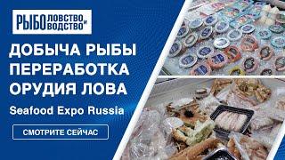 Добыча рыбы переработка и орудия лова  Seafood Expo Russia 2023