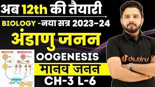 अंडाणु जनन Oogenesis   मानव जनन Human Reproduction In Hindi 12th Biology Ch 3 L 6 By Yogesh sir