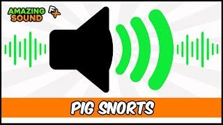 Pig Snorts - Sound Effect For Editing