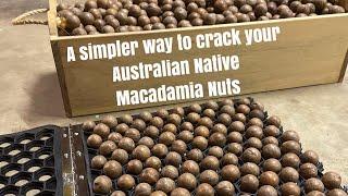 Best way to crack Macadamia Nuts