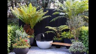 Chelsea Flower Show 2023 See all the gold medallists