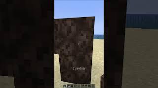 Minecraftta Witherlerin HİÇ Bilinmeyen Hikayesi #shorts #minecraft #short #shortsvideo #tiktok