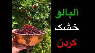 طریق خشک کردن آلبالو در خانه