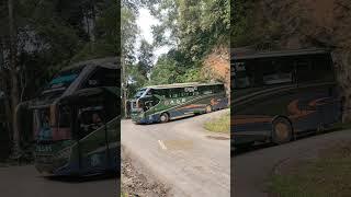 SKILL LUAR BIASA‼️DETIK-DETIK BUS ALS 177 MELEWATI TIKUNGAN TAJAM KUBURAN DUO SUMBAR