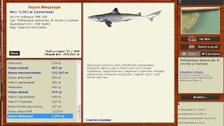 Русская Рыбалка 3.99 Акула Мицукури