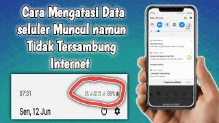 Cara Mengatasi Data Seluler Muncul Tapi Tidak Tersambung Internet