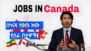 በካናዳ የወጡ ክፍት የስራ ቦታዎች  canada job vacancy 2023