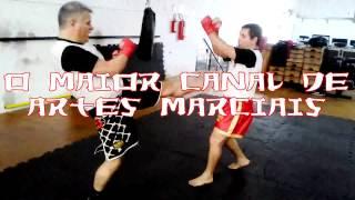 Artes Marciais Mistas Novo Quadro do Canal O Mestre Ensina #MMA