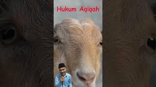 Bagaimana Hukum Aqiqah?