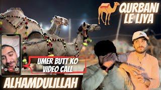 12 Lac Ka Camel  Umer Ne Video Call Par Kia Kaha