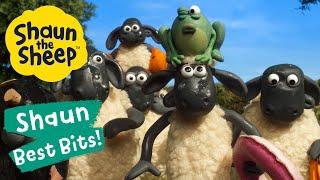 Pond Life  Shaun the Sheep Best Bits Season 6