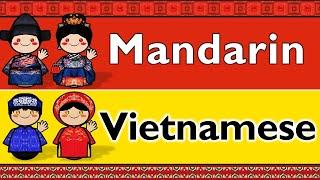 MANDARIN & VIETNAMESE