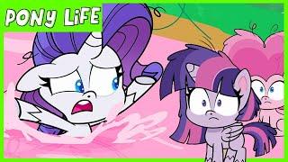 My Little Pony Pony Life  NEW  A Camping We Will Go   MLP Pony Life