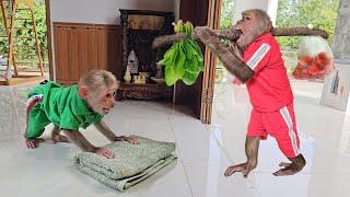 Monkey Su Busy Clean House Help Mom While Kuku Enlist Go Market 