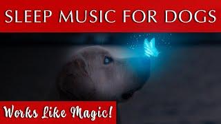 Sleep Music for Dogs Black Screen  432Hz Tuning