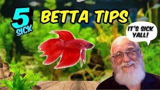 The Shocking Truth about Betta Care You Dont Want to Hear.