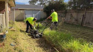 The Neighbours Saw a Snake Slither into this Overgrown Yard. Time To Clean It Up #satisfying