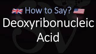 DNA FULL NAME  How to Pronounce Deoxyribonucleic Acid? What does DNA stand for?