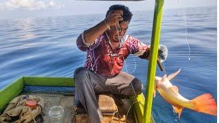 DILUAR DUGAAN BISA SEPERTI INI PANCING KENA DI PERUT IKAN KAKAP BESAR