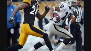 2009 Steelers Week 13