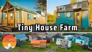 Familys Amazing Tiny House Life - Building Advocacy & Tiny Hotel