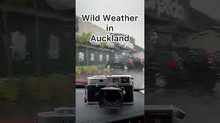 Extreme Weather vs Leica M6 - Who will win?