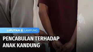 Pencabulan Terhadap Anak Kandung  Liputan 6 Lampung