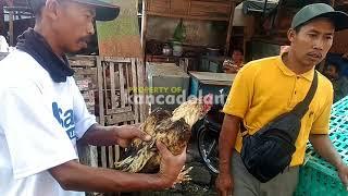 Cek Harga Ayam Kampung di Pasar Tradisional Magelang
