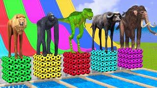 Long Slide Game With Mammoth Elephant Tiger Gorilla Lion T-Rex Buffalo - 3d Animal Game