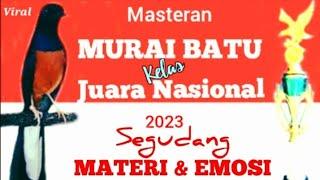 masteran MURAI BATU kelas JUARA NASIONAL segudang MATERI  CililinTengkekKenariJalak dll...