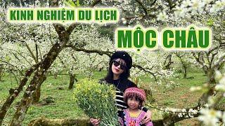 KINH NGHIỆM DU LỊCH MỘC CHÂU 3 NGÀY 2 ĐÊM 2024 TỰ TÚC ĐẦY ĐỦ KHÔNG THIẾU GÌ