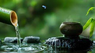 Relaxing Music 247 - Music to Relieve Stress Meditation Spa Zen Relaxing Music Yoga