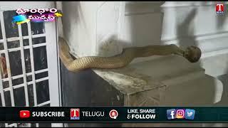 Snake entry in temple during Shivaratri celebration in Nirmal District  Dhoom Dhaam Muchata T News