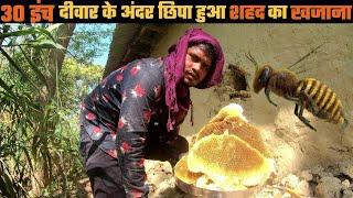 NATURAL HONEY  HUNTERS IN INDIA  WILD HONEY  शहद हनी मधु  ORIGINAL HONEY HARVEST SHAHAD MADHU