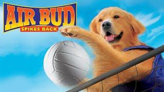 AIR BUD SPIKES BACK - Official Movie