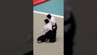 Flawless hanmi handachi waza by Ueshiba Mitsuteru Dojocho #aikido #aikikai