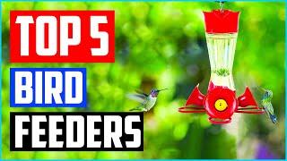 Top 5 Best Hummingbird Feeders in 2023