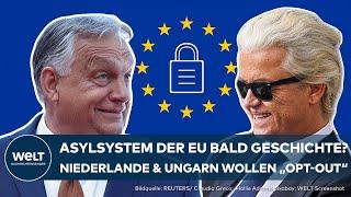 EUROPÄISCHE UNION Erschütterung in der Asylpolitik Ungarn und Niederlande wollen opt-out