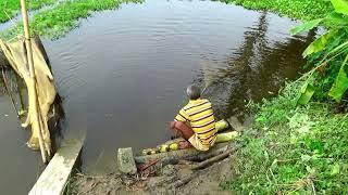 Most Satisfying Cast Net Fishing Video Catch best of Fish - Traditional Net Catch Fishing on village