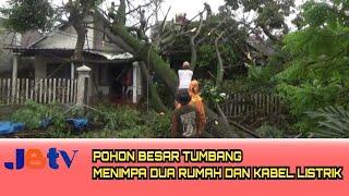 JOMBANG-POHON BESAR TUMBANG MENIMPA DUA RUMAH DAN KABEL LISTRIK.@jejakberitatv 