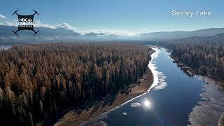 Drone video of larch trees of Seeley Lake