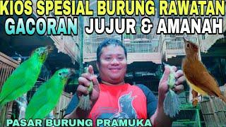 KIOS SPESIAL BURUNG RAWATAN GACORAN JUJUR & AMANAH KIOS ZAENURI DI PASAR BURUNG PRAMUKA