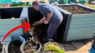 5 Expert Composting Tips for Beginners