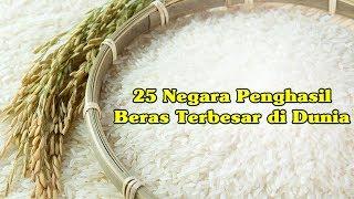 25 Negara Penghasil Beras Terbesar di Dunia